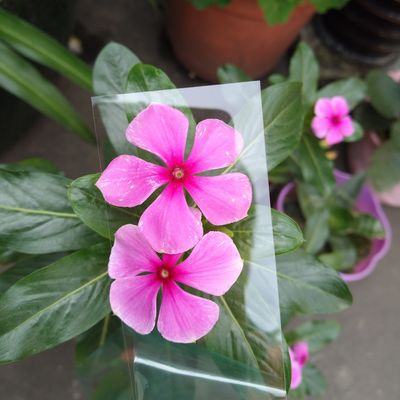 Un bon prix. Plaque de fabrication de PC en polycarbonate transparente de 1 mm pour l'optique ou l'impression à une seule couche 1 mm en ligne