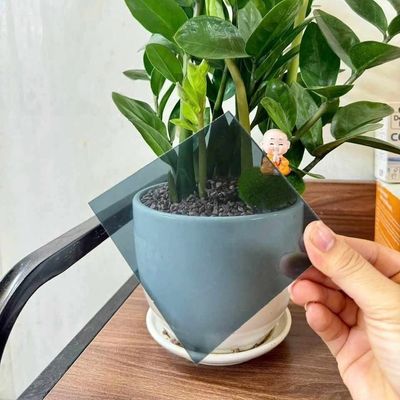 Faisceau solide de polycarbonate gris résistant aux UV épaisseur de 1,0 mm à 18,0 mm