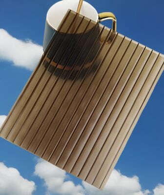 Film protecteur en PE recouvert des deux côtés de feuille creuse en polycarbonate, double panneau mural, résistant aux chocs, léger et durable